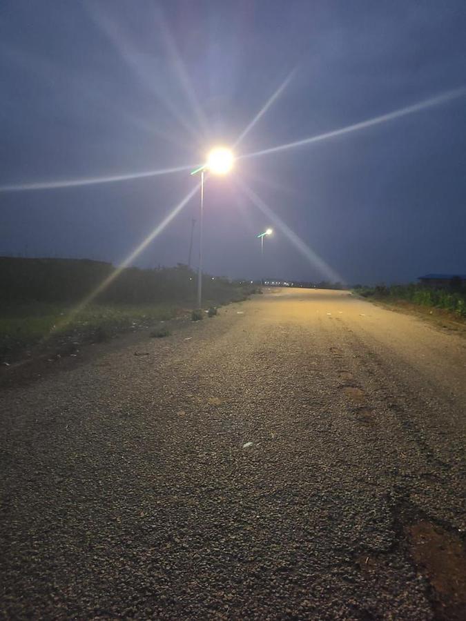 Street light at dusk over a new road